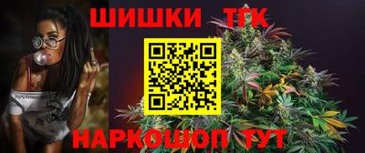 индика Нальчик