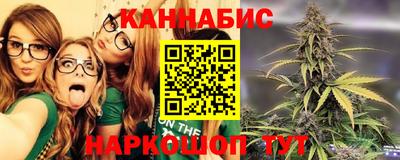 индика Нальчик