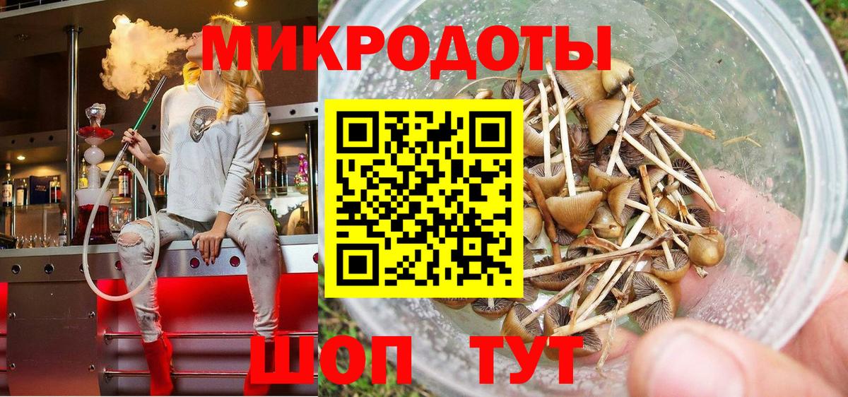Псилоцибиновые грибы MAGIC MUSHROOMS  Вход с VPN  Томск 