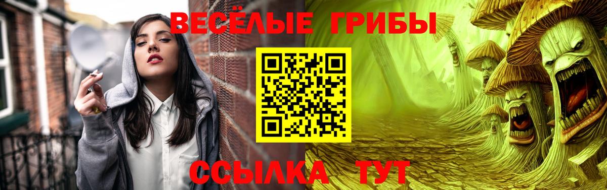 Псилоцибиновые грибы Cubensis Томск